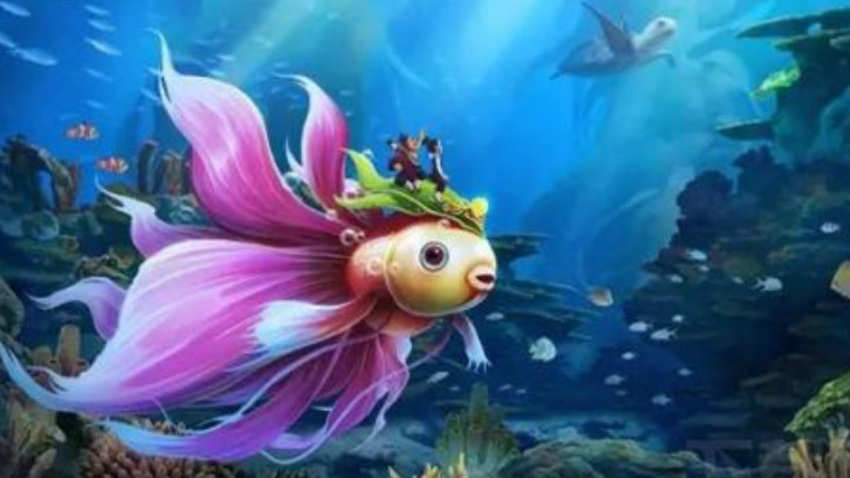 大话干转应该后面接什么_大话西游转职后装备怎么解决_大话一转后应该干什么