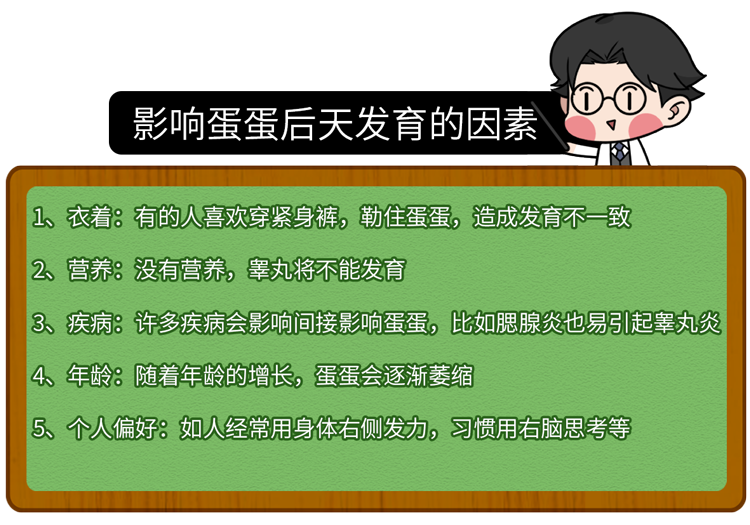 蛋蛋赚钱app_蛋蛋赚真的可以提现么_蛋蛋赚能赚多少钱