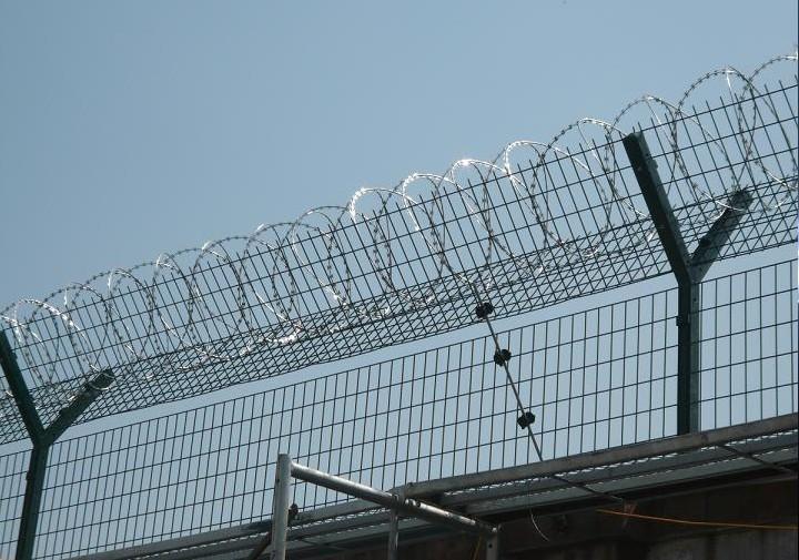 挂网逃程序_挂网逃废处理是什么意思_挂网逃的条件是什么