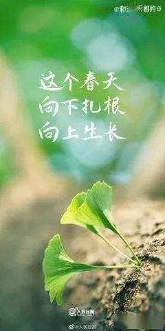 北欧女神蕾娜斯地图攻略_北欧女神 雷纳斯_北欧女神蕾娜斯队伍
