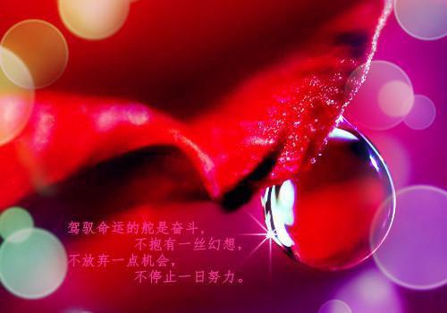 重生之逆天游戏系统 在幻想中死去 小说_重生之逆天游戏系统 在幻想中死去 小说_重生之逆天游戏系统 在幻想中死去 小说