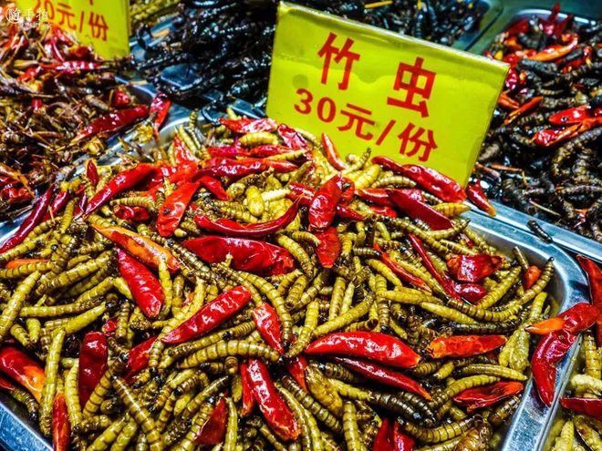 全集动漫圣痕血咒是第几集_血咒圣痕奇漫_血咒圣痕动漫全集