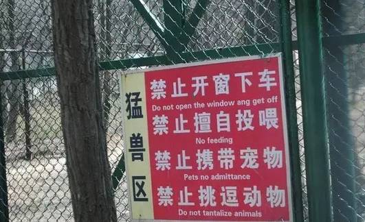 八达岭老虎伤人法院判决_判决老虎伤人案八达岭事件_八达岭老虎伤人案判决