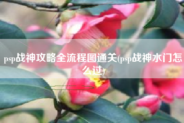 psp游戏战神有几种难度_psp战神不好玩_ps4战神难度