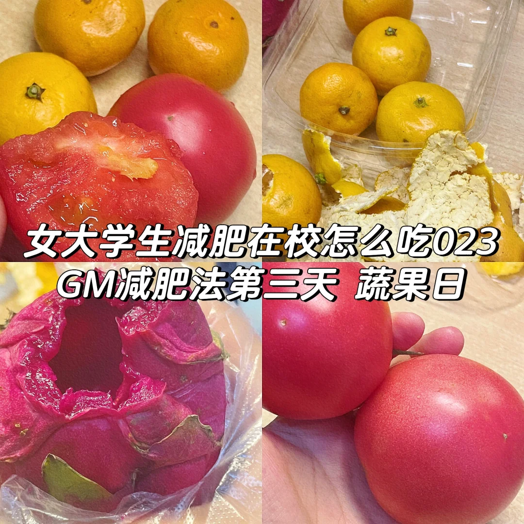 律法女娲进阶攻击_律法女娲109值得带吗_律法女娲多少级携带