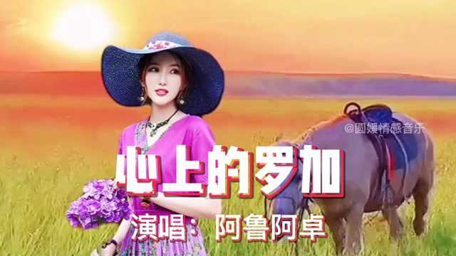 拦截垃圾短信软件_拦截手机短信的软件_拦截垃圾短信的软件