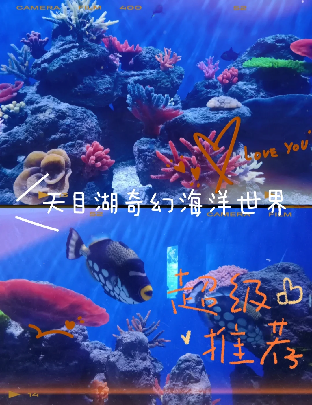 公主恋人游戏解压密码_公主恋人游戏解压密码_公主恋人游戏解压密码