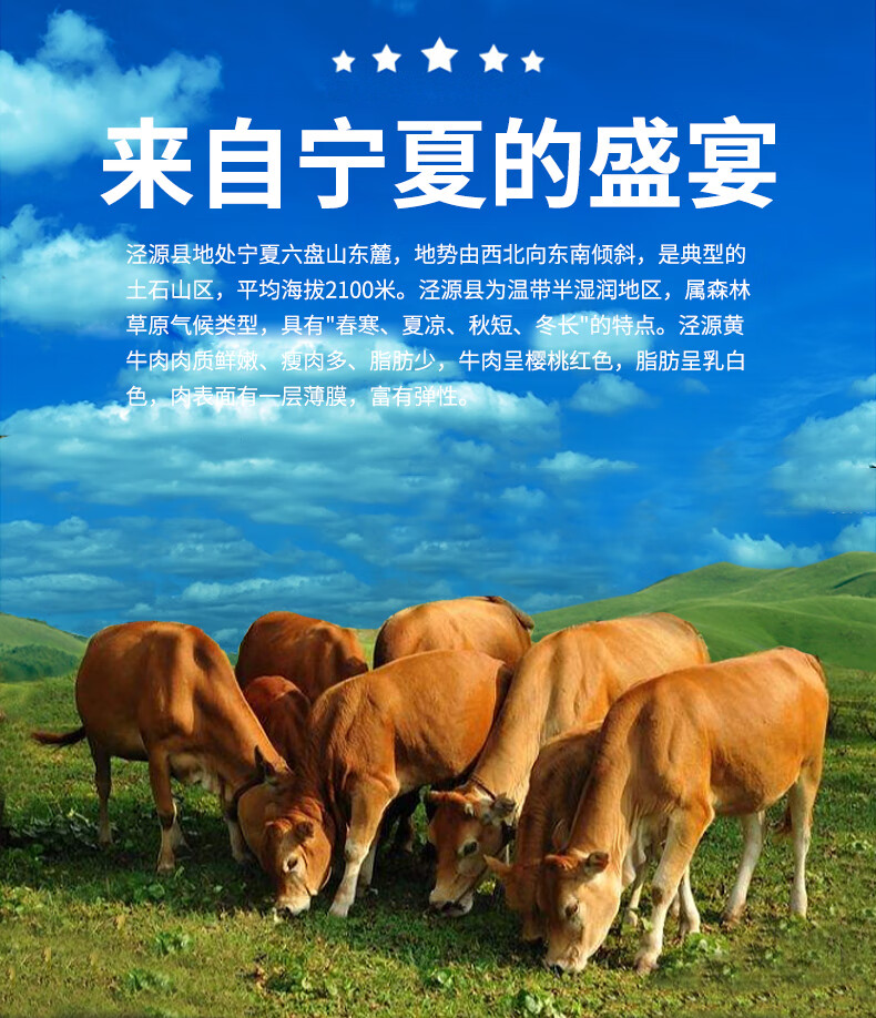 冻牛肉_冻牛肉怎么解冻才新鲜_冻牛肉能直接下锅煮吗