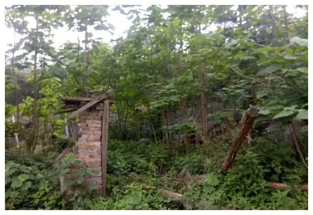 巨山精神病院人物_巨山精神病院人物_巨山精神病院人物