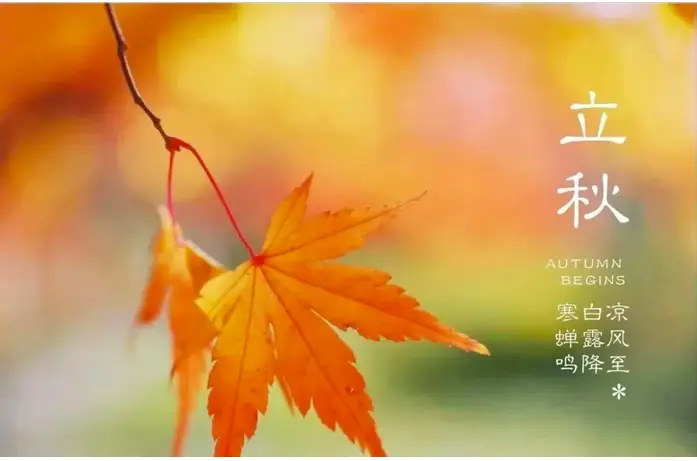 立秋后下大雨好不好_立秋后的大雨说说_立秋大雨过后好钓鱼吗