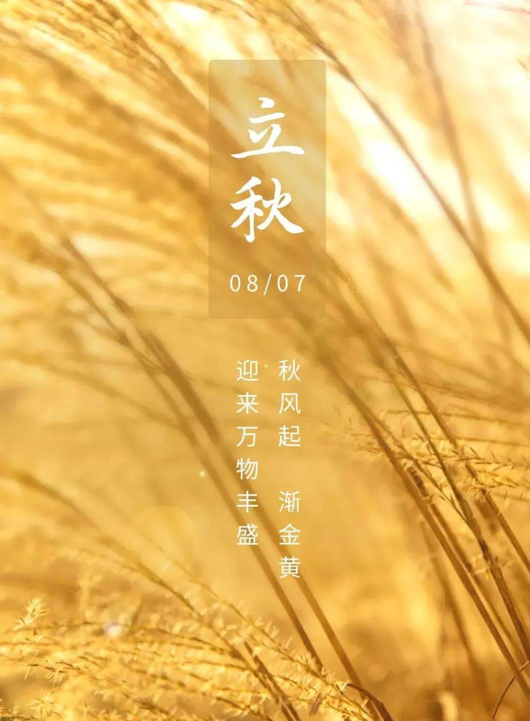 立秋后下大雨好不好_立秋大雨过后好钓鱼吗_立秋后的大雨说说