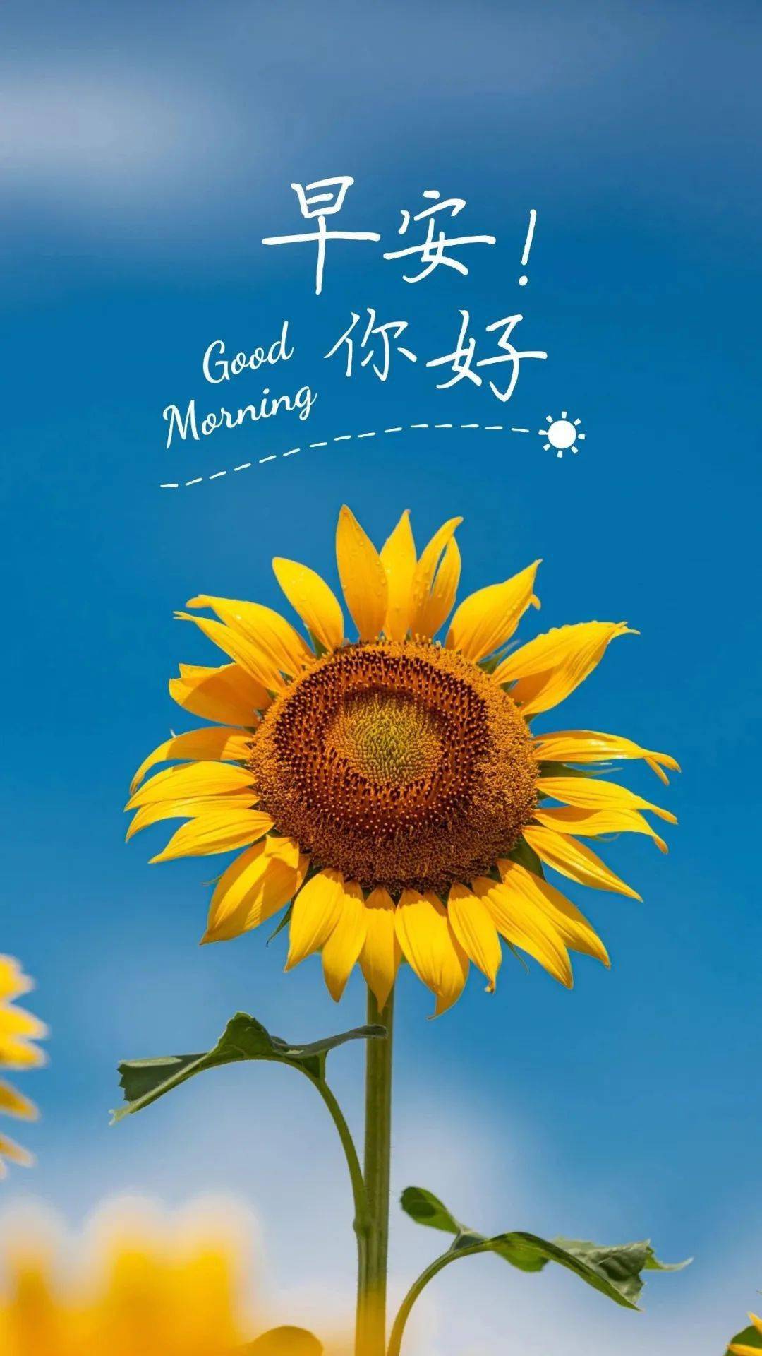 u爱软件手机秒赞_爱秒赞平台_手机秒赞软件哪个好用