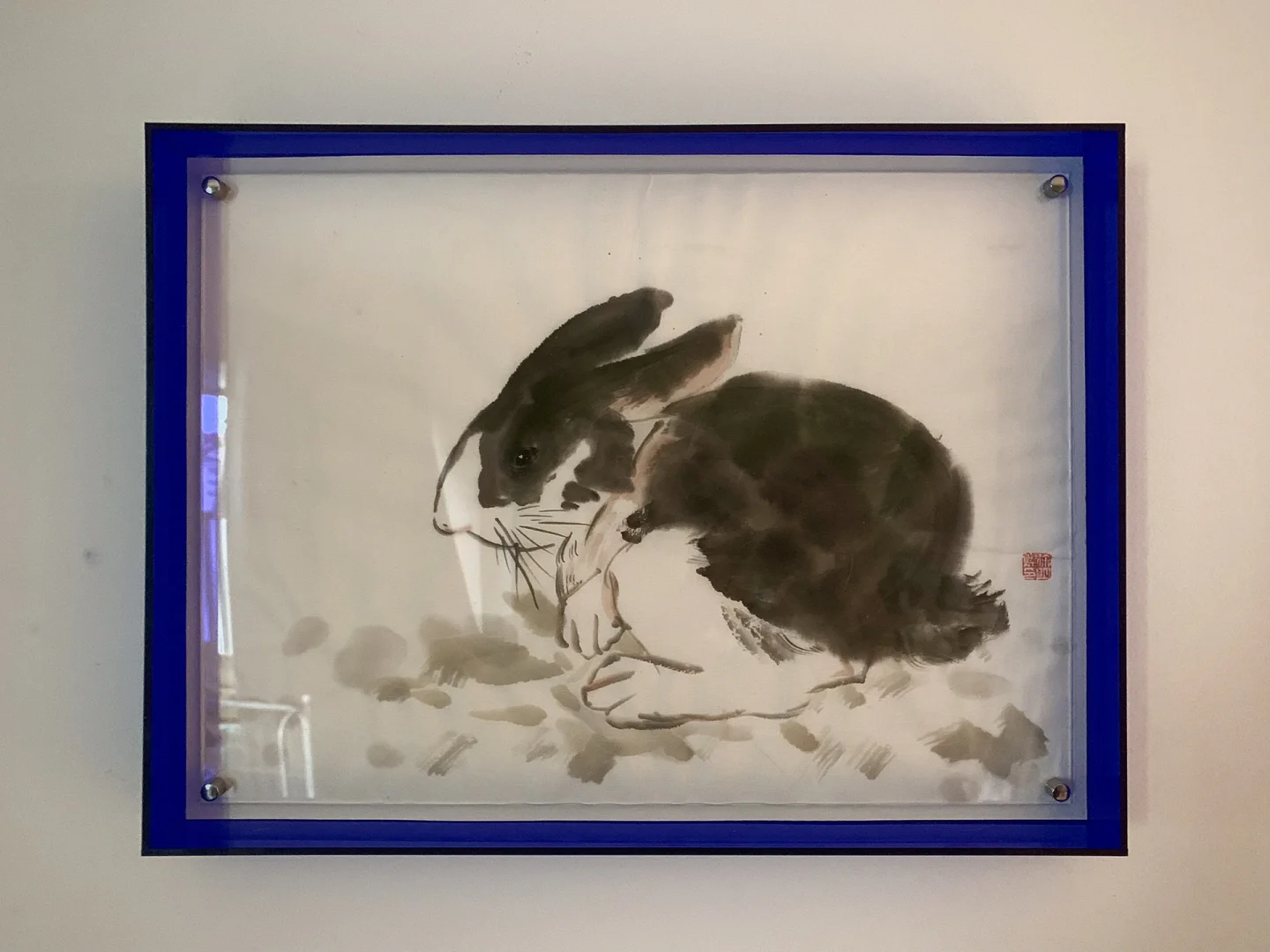 兔子杀到一半能活吗?_杀兔子很残忍吗_杀活兔子视频