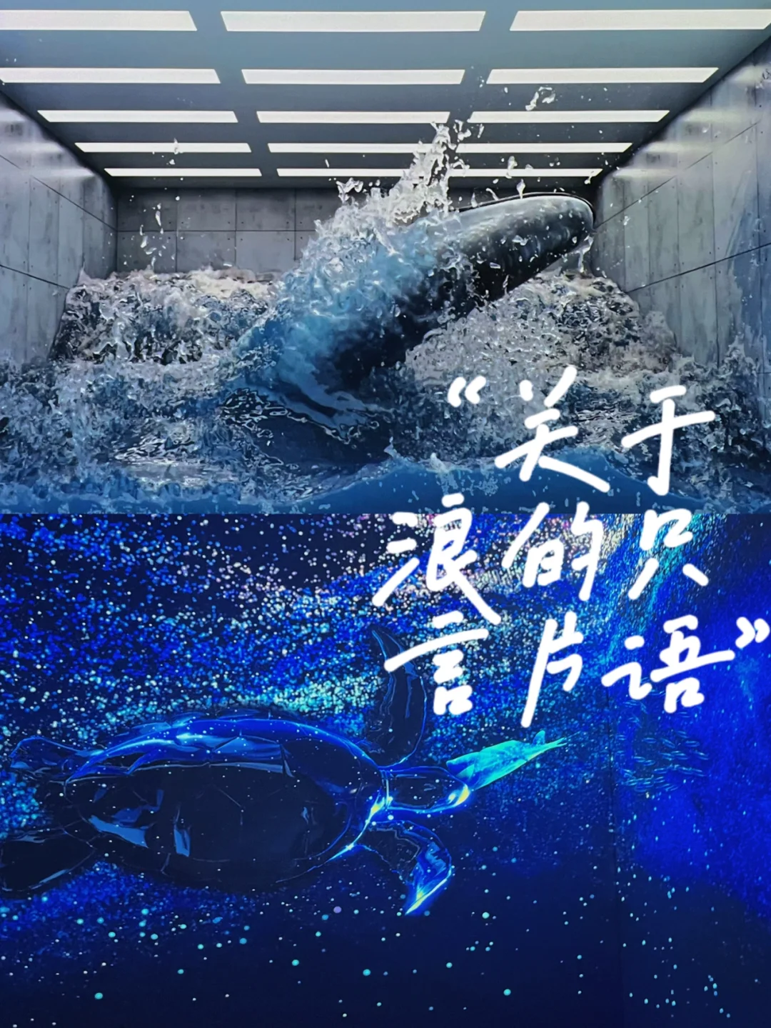 语言规则游戏_言语的规则性_只言片语4桌游规则
