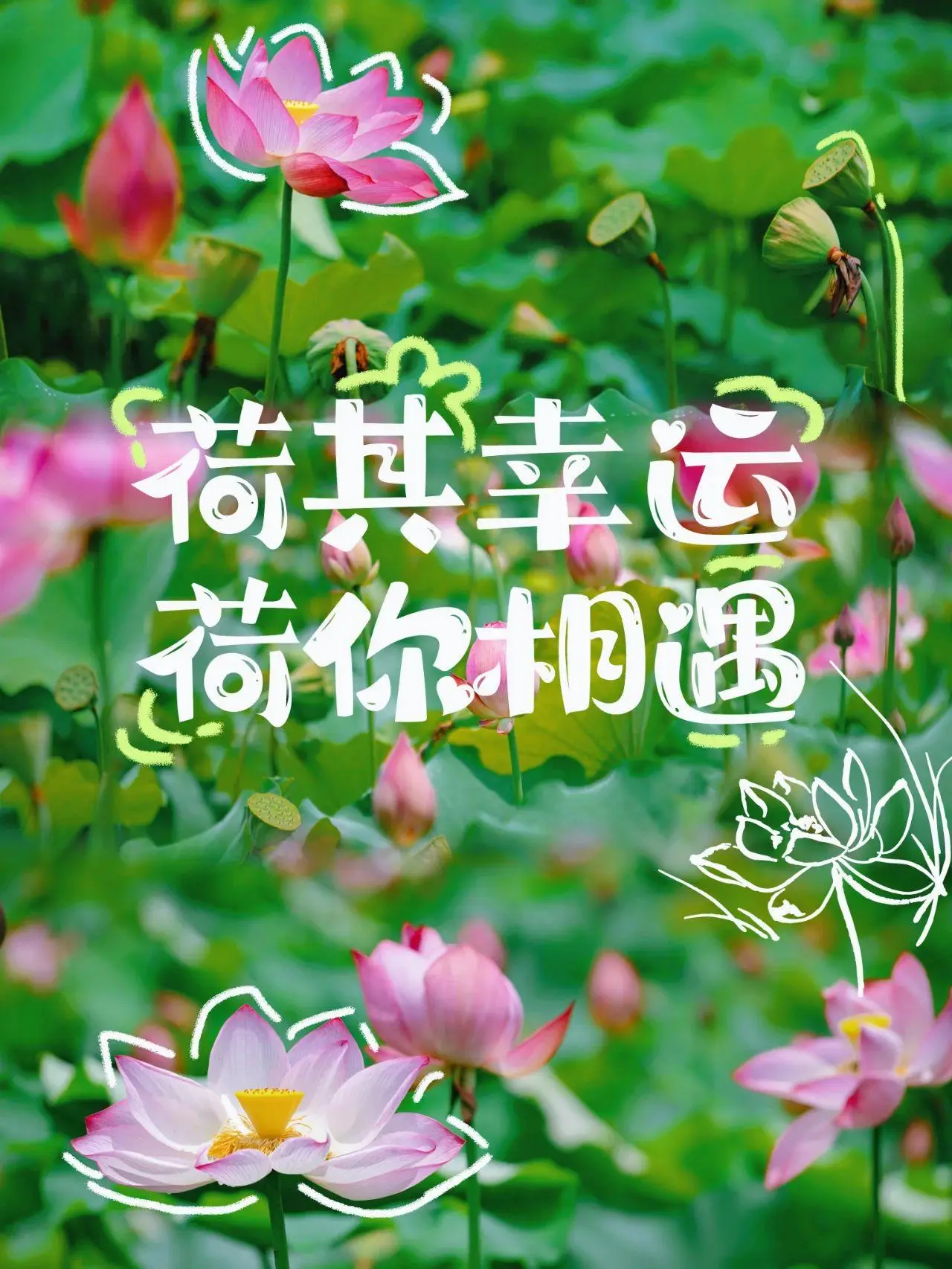 游戏系统小说_小说游戏系统_小说系统游戏有哪些
