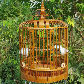 逃出26号鸟笼零件位置_逃出26号鸟笼零件位置_逃出26号鸟笼零件位置