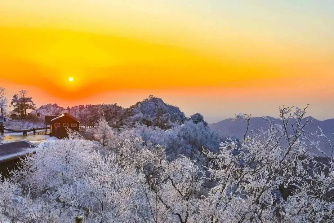 梦幻图片雪花_梦幻西游梦幻雪乡图片_梦幻西游梦幻雪乡价格
