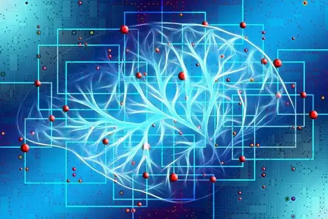 看图拼字攻略_看图拼字一个游戏平台_看图平台游戏拼字怎么拼