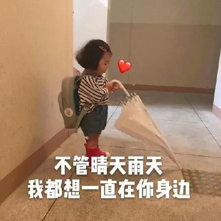 招呼功率微信打成高怎么回事_微信打招呼成功率高_招呼功率微信打成高了怎么办