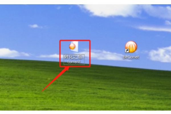 bt种子制作不成功是什么原因?_种子形成程序_种子为什么能萌发成新的生命呢