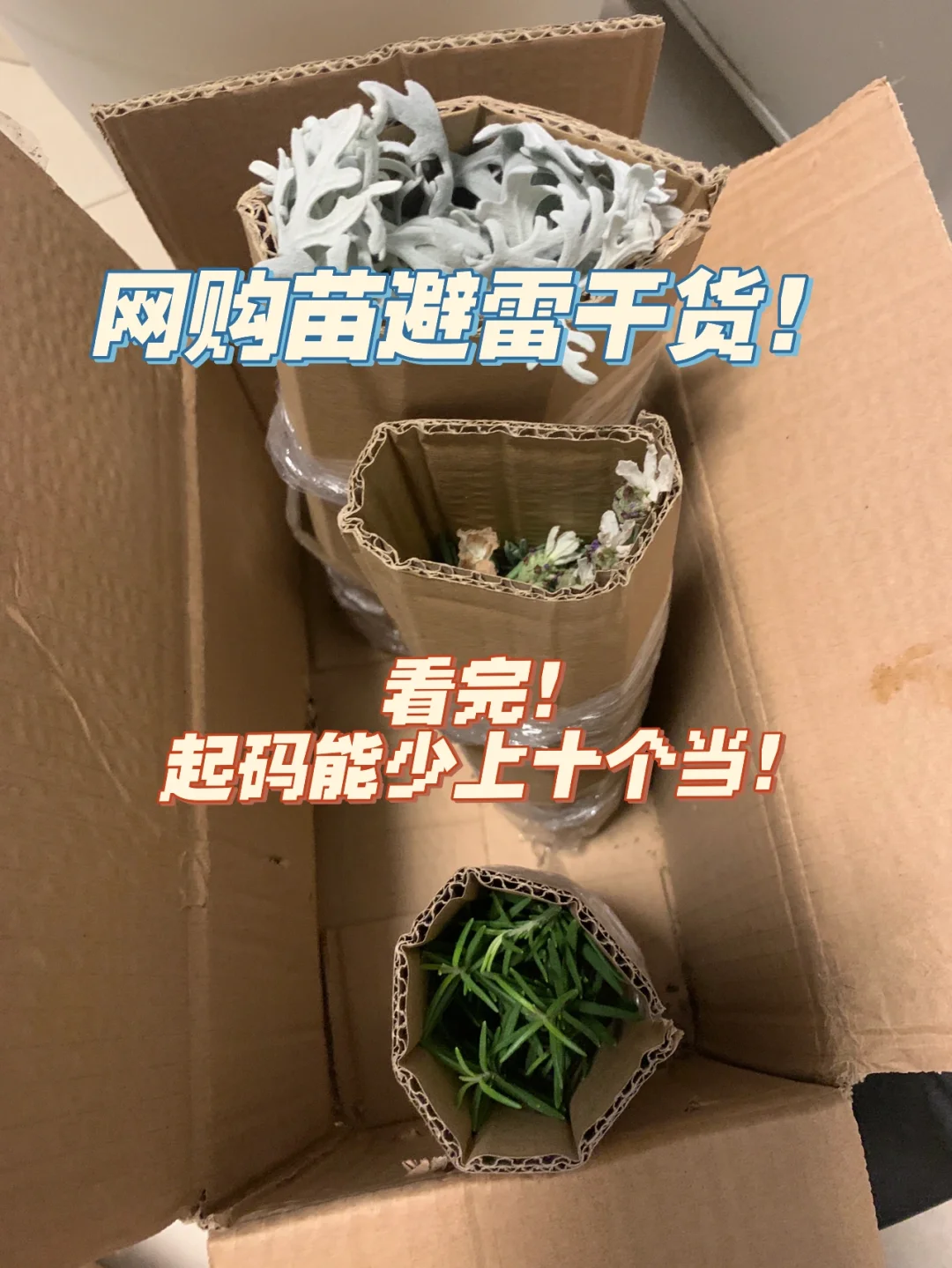 带着网购技能到了异世界_网购技能开启异世界31_网购技能开启异世之旅